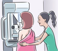 Guidelines & Recommendations for Your Next Mammogram
